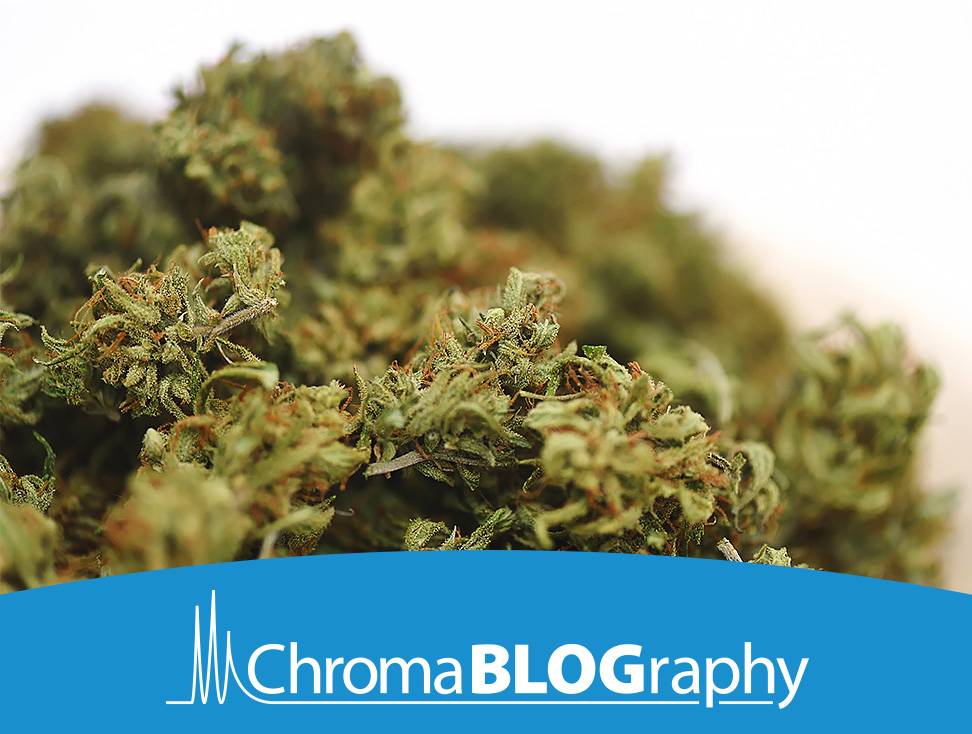 {75f624a7-ff98-4be7-a483-777afec5bc74}_teaser-advantage-blog-potency-useful-techniques