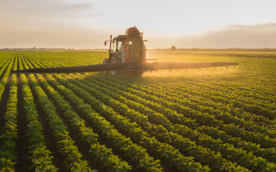 How to prevent SRM window shifting