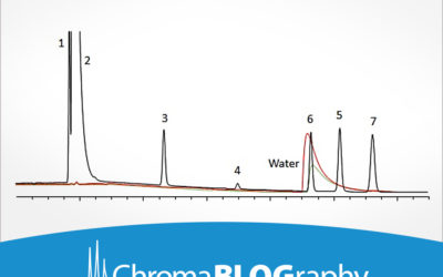 What Impact Does Water Vapor Have on Adsorbent Columns?