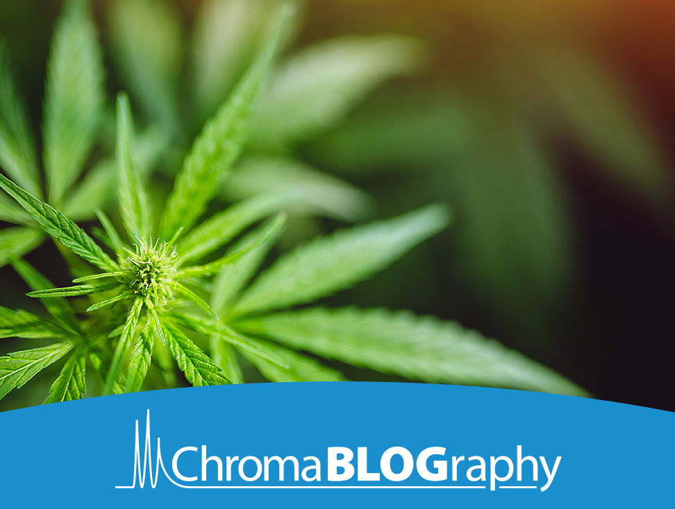 {babb6e41-2064-4110-b145-ff3724595f6b}_teaser-advantage-blog-the-future-of-cannabinoid-testing-30-april-2021