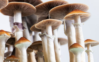 Improved Screening Method for Acylcarnitines and Amino Acids