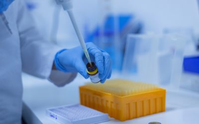 Jakie wyposażenie jest niezbędne w laboratorium?