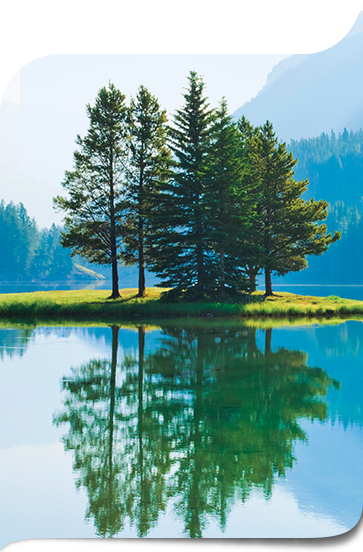 {bf5bf209-0185-4458-ab0e-ca3da0bf64f4}_teaser-RS-product-messaging-eblast-GNEB3867-01_shapeA