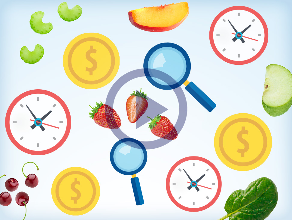 {c1e3c68e-e795-4ff4-8722-a55ab5d3f445}_teaser-advantage-video-what-is-quechers