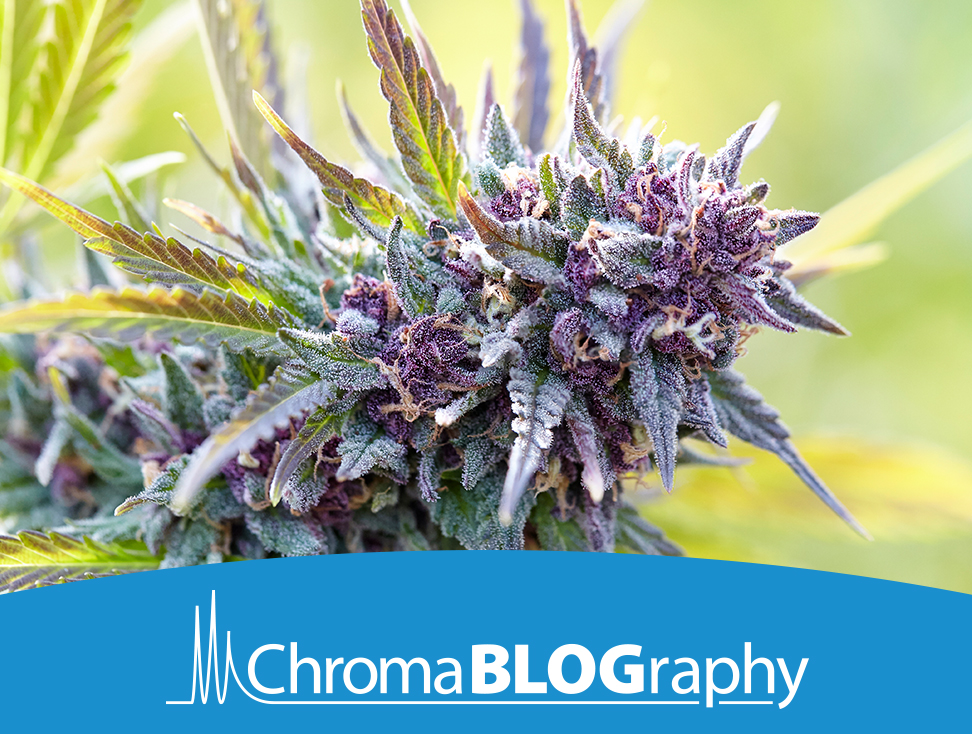 {2f3431bc-7a39-4a5e-9bf8-13707d52a67a}_teaser-advantage-blog-flavonoids-routine-cannabis-test