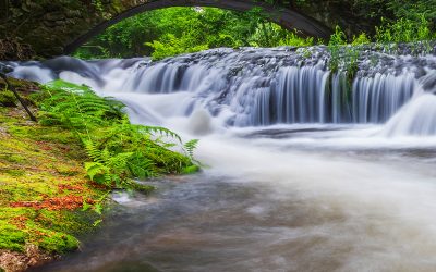 A Better Solution for Semivolatiles | How Stable Are My Standards? | LC Detector Lamp Tips