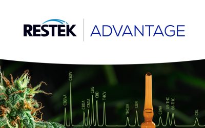 Stability of cannabinoid working standards